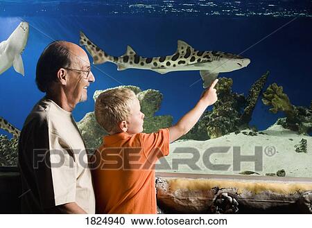 Stock Image - Grandfather and grandson watching fish at an aquarium. Fotosearch