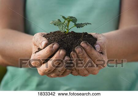 Handful of fertile earth View Large Photo Image Stock Image - Handful of fertile earth. Fotosearch