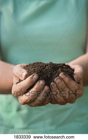 Handful of garden dirt View Large Photo Image Stock Photo - Handful of garden dirt. Fotosearch