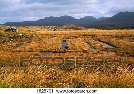 Stock Image - Harvesting turf in Connemara near Roundstone, Galway, Ireland. Fotosearch