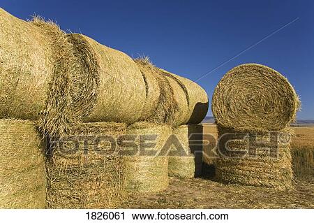 Stock Image - Hay Bales. Fotosearch