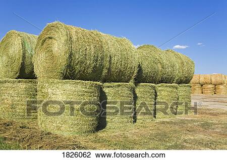 Stock Image - Hay Bales. Fotosearch