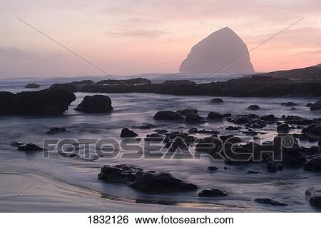 Haystack Rock At Low-Tide At Twilight, Oregon, USA View Large Photo Image Stock Photograph - Haystack Rock At Low-Tide At Twilight, Oregon, USA. Fotosearch