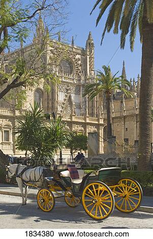 Stock Image - Horse and buggy at Seville Cathedral, Seville, Andalucia, Spain, Europe . Fotosearch