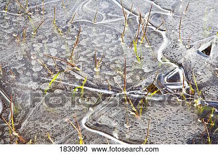 Stock Image - Ice on water. Fotosearch