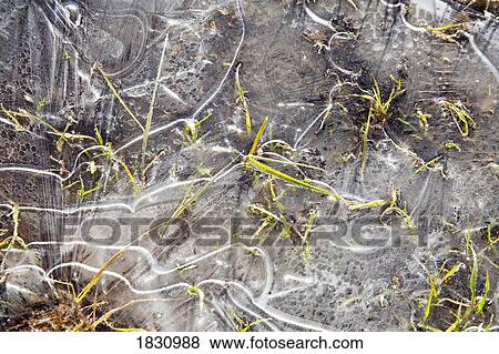 Stock Photo - Ice on water. Fotosearch