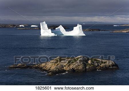 Stock Image - Icebergs, Island of Qoornoq, Province of Kitaa, Southern Greenland, Kingdom of Denmark . Fotosearch