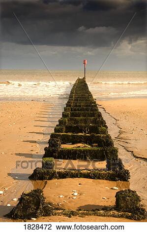 Stock Image - Jetty on beach, Yorkshire, England. Fotosearch