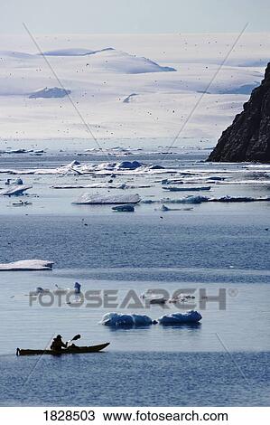 Kayak ice berg off coast of Nunavut, Canada View Large Photo Image Stock Image - Kayak ice berg off coast of Nunavut, Canada. Fotosearch