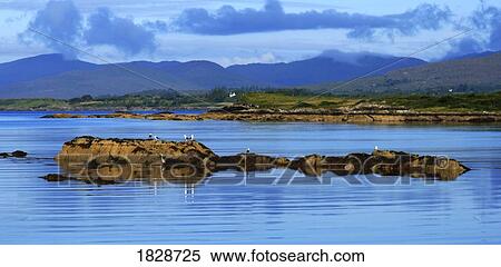 Stock Photography - Kenmare Bay and Ring of Kerry, Ireland. Fotosearch