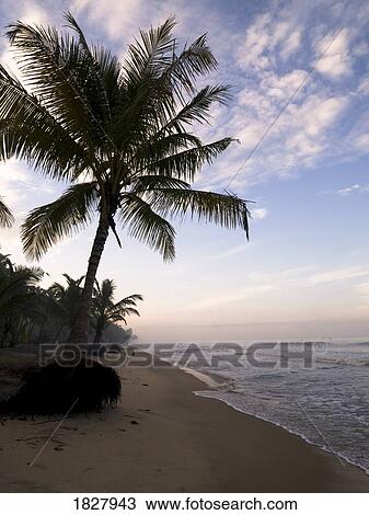 Kerala, Arabian Sea, India View Large Photo Image Stock Image - Kerala, Arabian Sea, India. Fotosearch