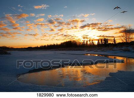Lake at sunset, Alberta, Canada View Large Photo Image Stock Image - Lake at sunset, Alberta, Canada. Fotosearch