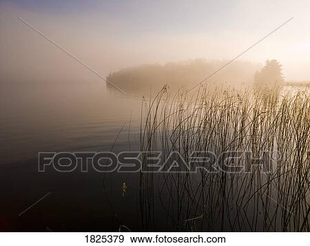 Lake of the Woods, Ontario, Canada View Large Photo Image Stock Photo - Lake of the Woods, Ontario, Canada. Fotosearch
