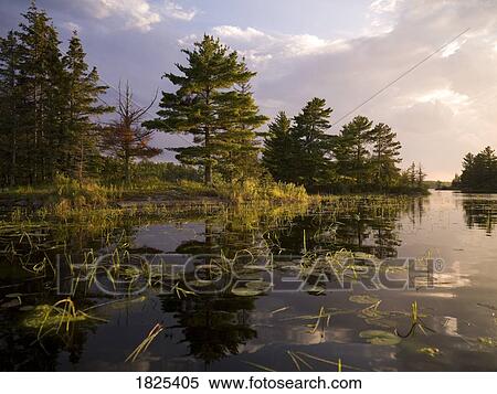 Stock Photography - Lake of the Woods, Ontario, Canada. Fotosearch