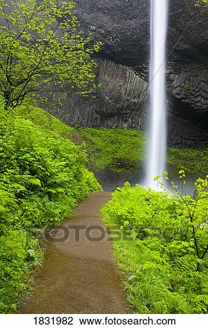 Stock Image - Latourell Falls, Columbia River Gorge, Oregon, USA. Fotosearch
