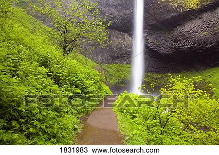 Stock Image - Latourell Falls, Columbia River Gorge, Oregon, USA. Fotosearch