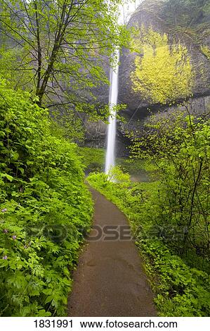 Stock Image - Latourell Falls, Columbia River Gorge, Oregon, USA. Fotosearch