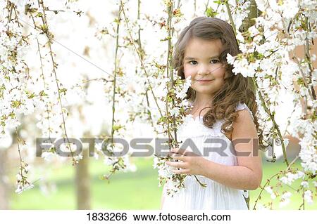 Little girl holding cherry blossoms View Large Photo Image Stock Photograph - Little girl holding cherry blossoms. Fotosearch
