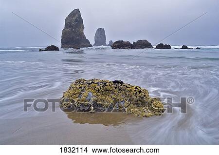 Low tide and needles, Oregon's Coast, USA View Large Photo Image Picture - Low tide and needles, Oregon's Coast, USA. Fotosearch