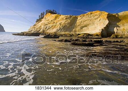 Low tide at Cape Kiwanda, Oregon, USA View Large Photo Image Picture - Low tide at Cape Kiwanda, Oregon, USA. Fotosearch