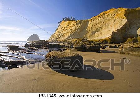 Low tide at Cape Kiwanda, Oregon, USA View Large Photo Image Stock Photography - Low tide at Cape Kiwanda, Oregon, USA. Fotosearch