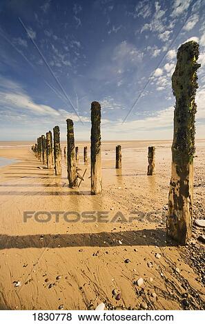Low tide, Humberside, England View Large Photo Image Stock Photo - Low tide, Humberside, England. Fotosearch