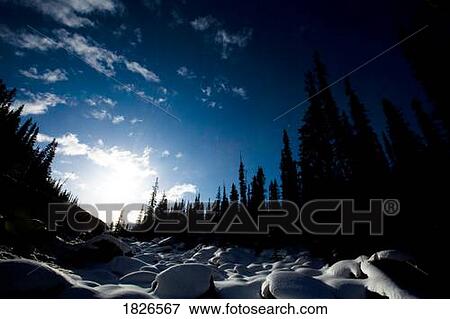 Maligne Canyon, Jasper National Park, Alberta, Canada View Large Photo Image Stock Photo - Maligne Canyon, Jasper National Park, Alberta, Canada. Fotosearch