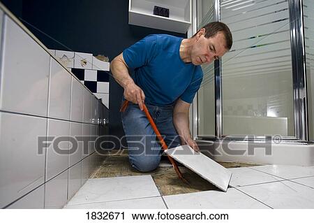 Man installing bathroom floor tiles View Large Photo Image Stock Image - Man installing bathroom floor tiles. Fotosearch