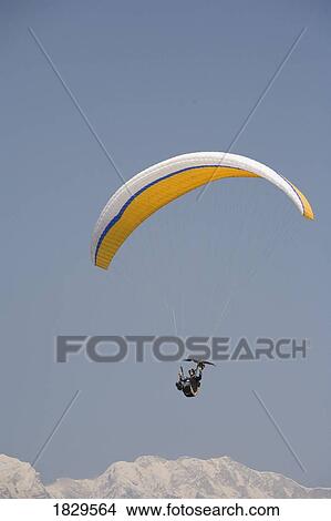 Man paragliding with an Egyptian Vulture View Large Photo Image Picture - Man paragliding with an Egyptian Vulture. Fotosearch