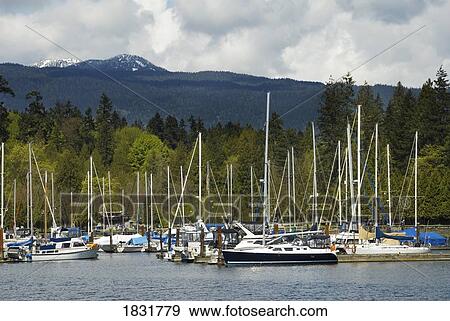 Stock Photo - Moored boats, Vancouver, British Columbia, Canada. Fotosearch
