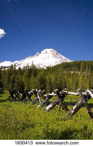 Stock Image - Mount Hood, Oregon Cascades, Oregon, USA. Fotosearch
