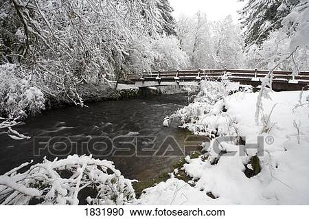 Stock Image - Mount Hood, Oregon, USA. Fotosearch