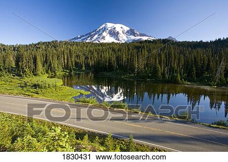 Mount Rainier, Mount Rainier National Park, Washington State, USA View Large Photo Image Stock Image - Mount Rainier, Mount Rainier National Park, Washington State, USA. Fotosearch