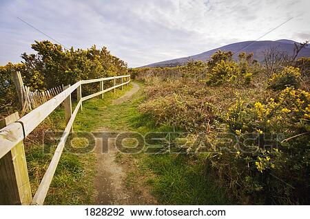 Stock Image - Mountain Path in Ireland. Fotosearch