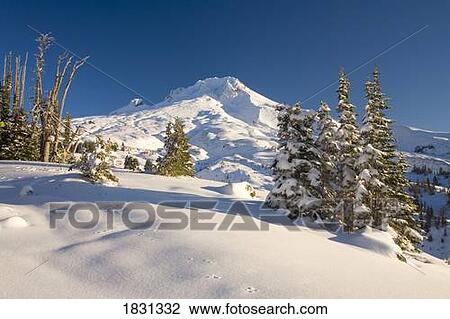 Stock Image - Mt. Hood, Oregon, USA. Fotosearch