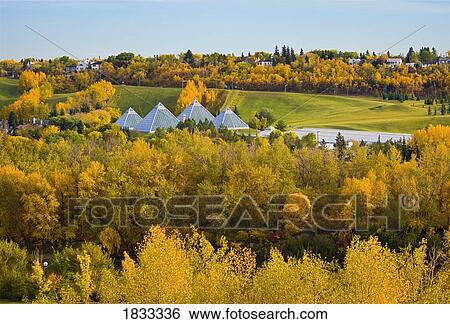 Muttart Conservatory, Edmonton, Alberta, Canada View Large Photo Image Stock Photograph - Muttart Conservatory, Edmonton, Alberta, Canada. Fotosearch
