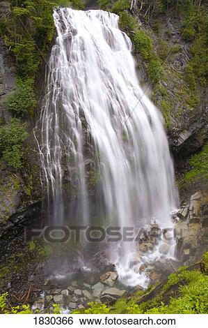 Stock Photograph - Narada Falls, Mount Rainier National Park, Washington State, USA. Fotosearch
