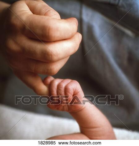 Newborn hand holding adult finger View Large Photo Image Stock Photography - Newborn hand holding adult finger. Fotosearch