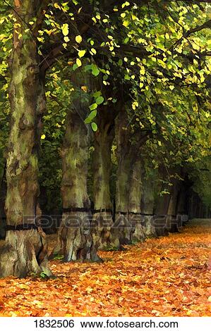 Stock Photograph - Nottinghamshire, England, UK, Lime Tree Avenue. Fotosearch