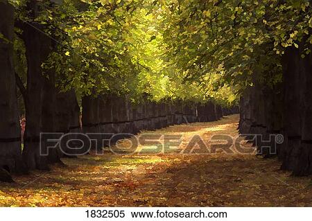 Stock Photography - Nottinghamshire, England, UK, Lime Tree Avenue. Fotosearch