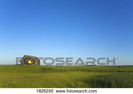 Stock Image - Old farm shed, North Dakota, USA. Fotosearch