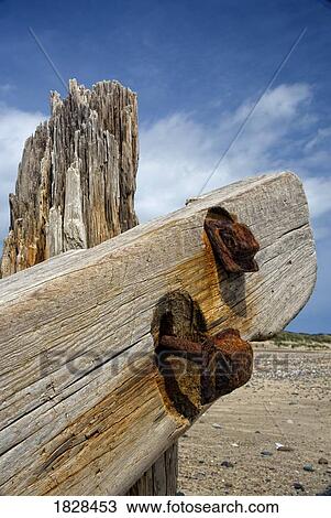 Old post on beach View Large Photo Image Stock Image - Old post on beach. Fotosearch