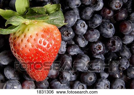 One strawberry on blueberries View Large Photo Image Stock Photograph - One strawberry on blueberries. Fotosearch