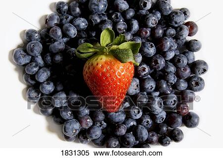 One strawberry on blueberries View Large Photo Image Stock Photography - One strawberry on blueberries. Fotosearch