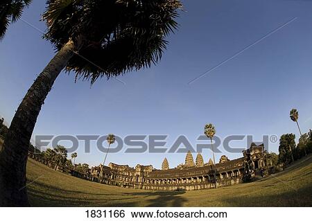 Stock Photograph - Palm trees, Angkor Wat temple, Angkor Wat, Cambodia. Fotosearch