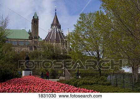 Parliament grounds, tulip festival, Major Hill Park, Ottawa, Ontario, Canada View Large Photo Image Stock Image - Parliament grounds, tulip festival, Major Hill Park, Ottawa, Ontario, Canada. Fotosearch