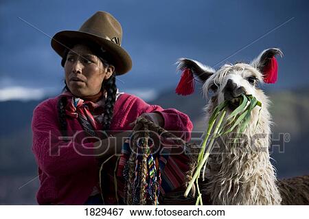 Peruvian woman in traditional clothing with llama in Cuzco, Peru View Large Photo Image Stock Photo - Peruvian woman in traditional clothing with llama in Cuzco, Peru. Fotosearch
