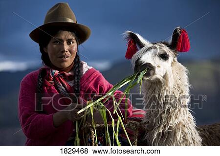 Stock Photo - Peruvian woman in traditional clothing with llama in Cuzco, Peru. Fotosearch