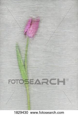 Stock Image - Pink tulip. Fotosearch