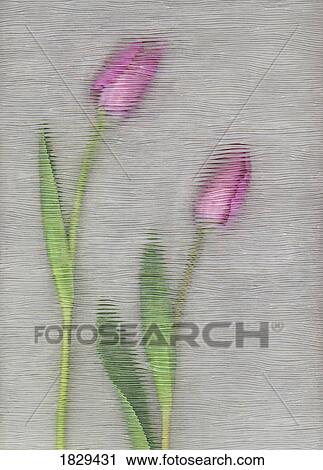 Stock Image - Pink tulips. Fotosearch